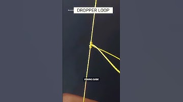BEST FISHING KNOTS - How To Tie A Dropper Loop Knot - T Knot