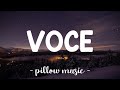 Voce - SAINT PARIS BABY (Lyrics) 🎵