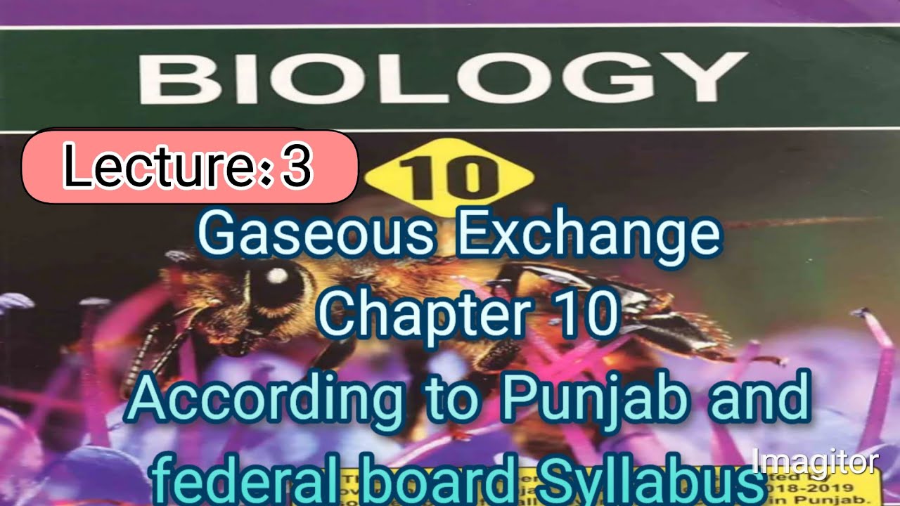 Inspired and expired air, Bronchitis, Emphysema/HIKS Academy 