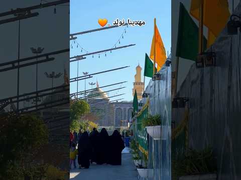 ما شاء الله مهدينا نولد سمعوني هلا سيد فاقد ولادة الامام المهدي المنتظر اللهم عجل لوليك الفرج 