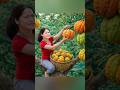 Harvest sour fruit  and goes to market sale #harvest #creativesurvival #fruit