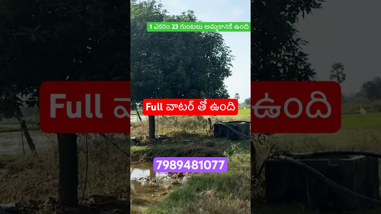 #rjrpropertiesservices