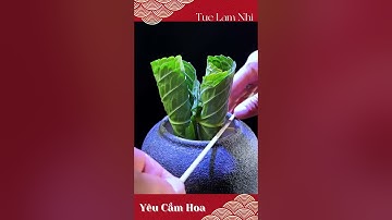 Hướng dẫn cắm hoa Cẩm Tú cầu đẹp nhất