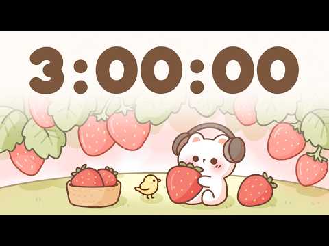 3 Hour Timer 🐱 3 Hr Study Timer for Classroom Focus