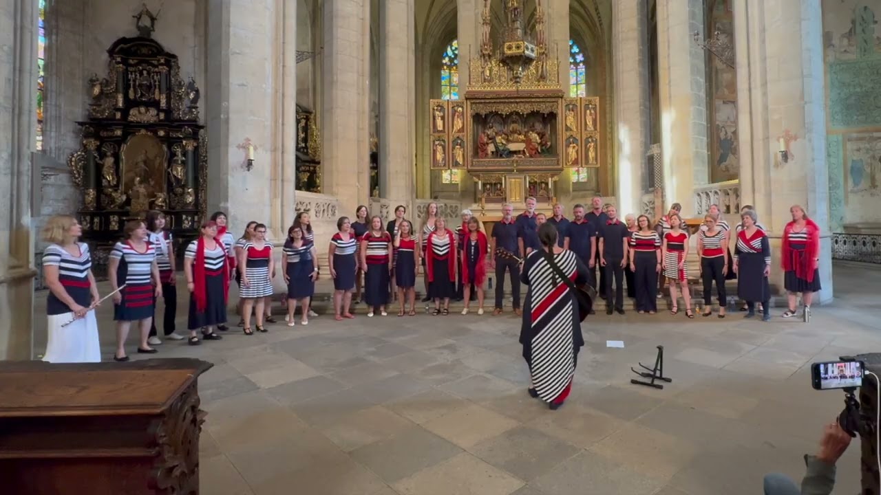 Snad tě potkám (ERIC CLAPTON - TEARS IN HEAVEN) - sbor TakyHlasy