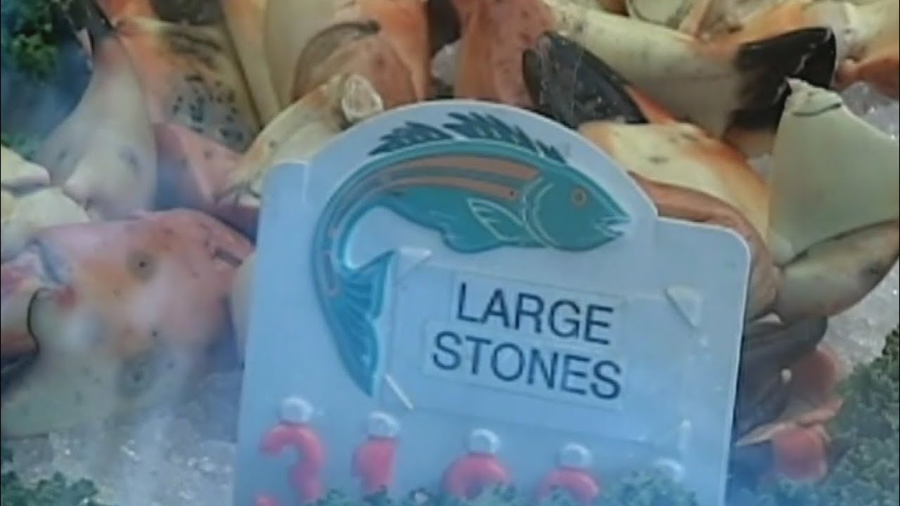 It's stone crab season in South Florida