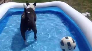 Ebt In Pool