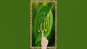 السحيم عبد العزيز تلاوة خاشعة جدا الله نور السموات و الارض