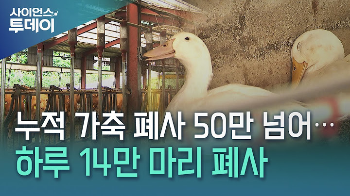 누적 가축 폐사 50만 넘어...하루 14만 마리 폐사 / YTN 사이언스