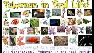 Real Life Pokémon!! (Part 2) All Generation 2 Pokémon IRL!