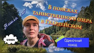 картинка: Непарадное Гвардейское: в поисках необычного озера в лесах Гвардейского.