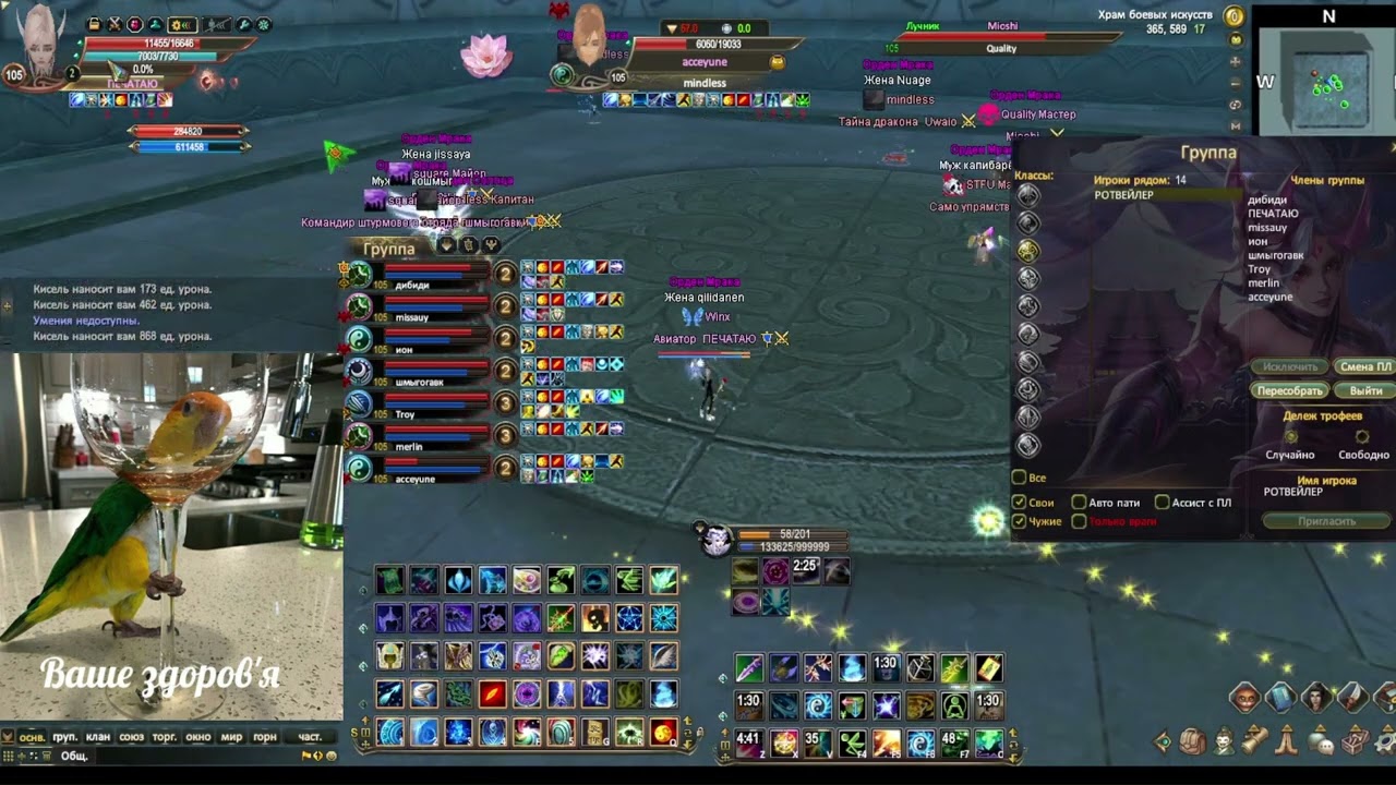 Молимся на мерлина за пинок! Divinity pw // Стенка от 22 05 и 24 05