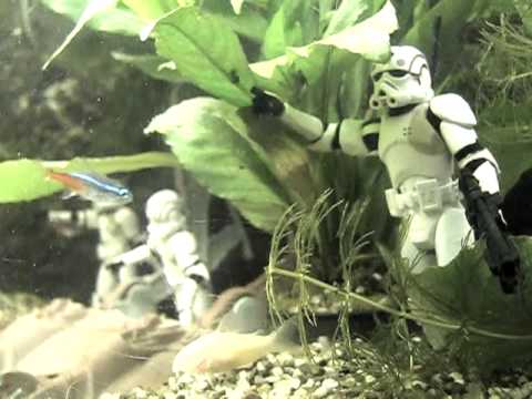 May The Force Be With These Epic Star Wars Aquariums Custom