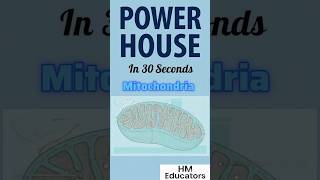 Mitochondria = Power House of Cell | Explained in 30s #biology #shorts #9thclass #fsc