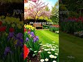 Always dreaming about the Garden #daydreamer #gardening #springgarden #dreamers #landscape