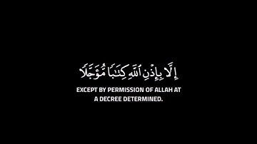 تلاوة تطهر القلب🌿 قران حالات واتس🌿 من سورة ال عمران