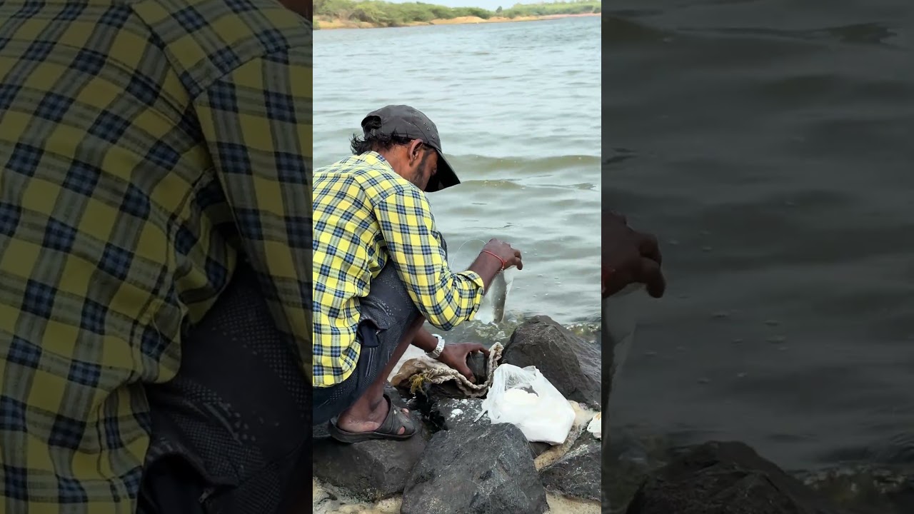 New water bottle fishing | mullet fish trap | river fishing | mullet fish catching. 