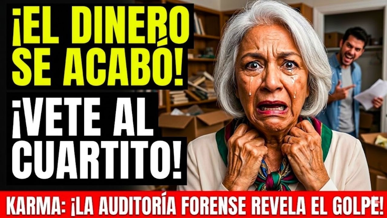 Mi yerno robó mis $3,487,200 para su amante — Me dejó en el suelo, pero olvidó mi Auditoría Forense