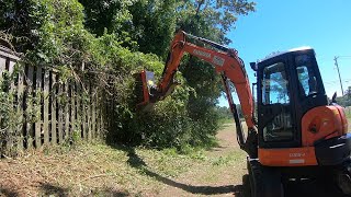 THURSDAY IS FOR MULCHING! Clearing A Tree Line With Prinoth M450e900