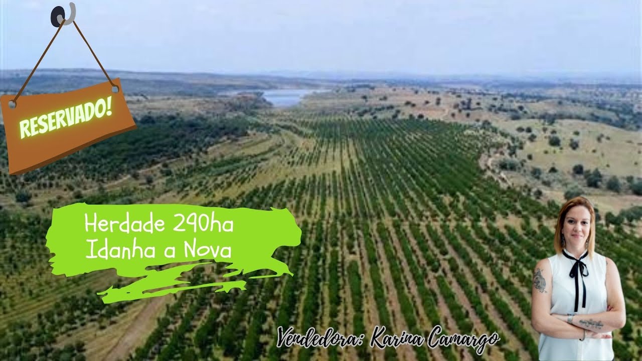 Farm - 290ha - Idanha a Nova - Centro - Portugal - 2 matrix articles. Price: 1.462.750 €