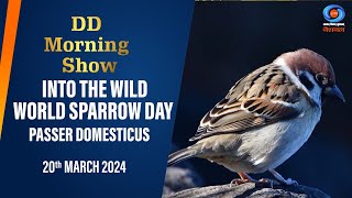 DD Morning Show | Into The Wild |  World Sparrow Day | Passer Domesticus | 20th March 2024