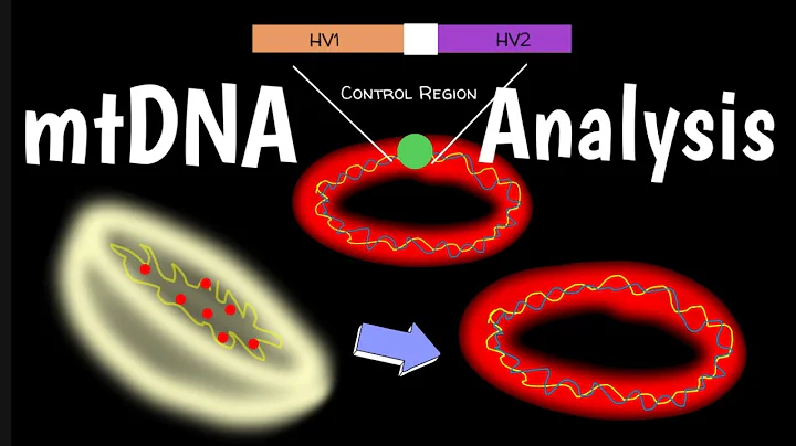 Mitochondrial DNA Analysis | Mitochondrial Genome Sequencing | mtDNA | thumbnail