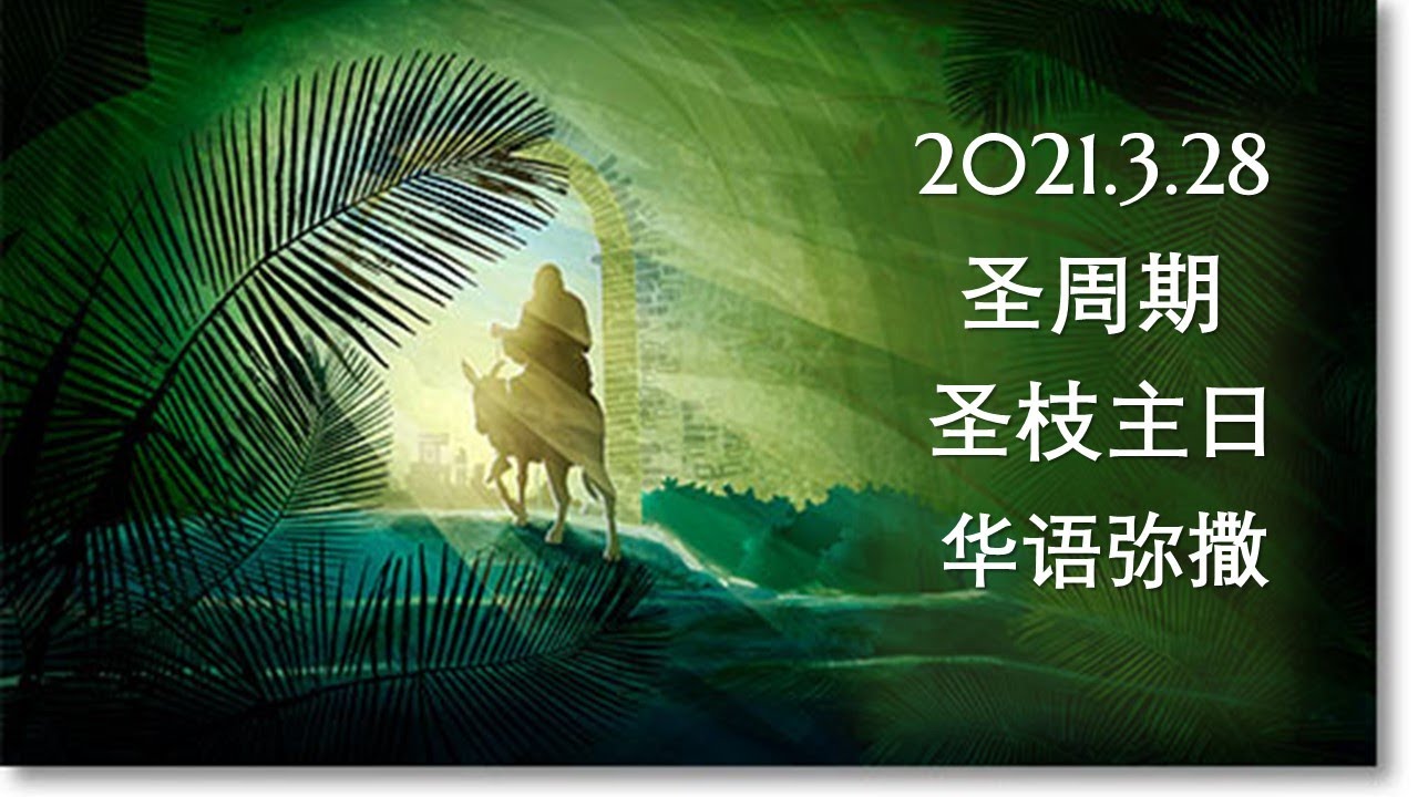 直播 圣周期 圣枝主日 华语弥撒 萧永伦神父主祭 2021年 3月 27/28日 - YouTube