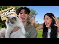 I Stole My Sisters Cat And Sold It Prank!