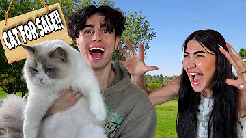 I Stole My Sisters Cat And Sold It Prank!