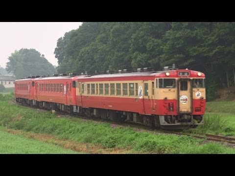 キハ40タラコ色×2両+国鉄風ツートンカラー（烏山線）