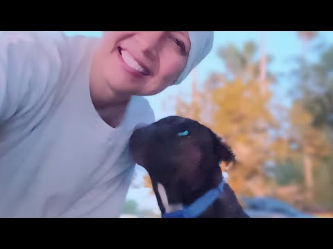 ASMR 🌄 Good Morning 🐕 ( Talking about Arnold ) #mcdonaldsrescuedog