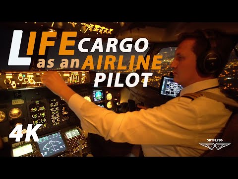Video: Pilot Angriper En Passasjer