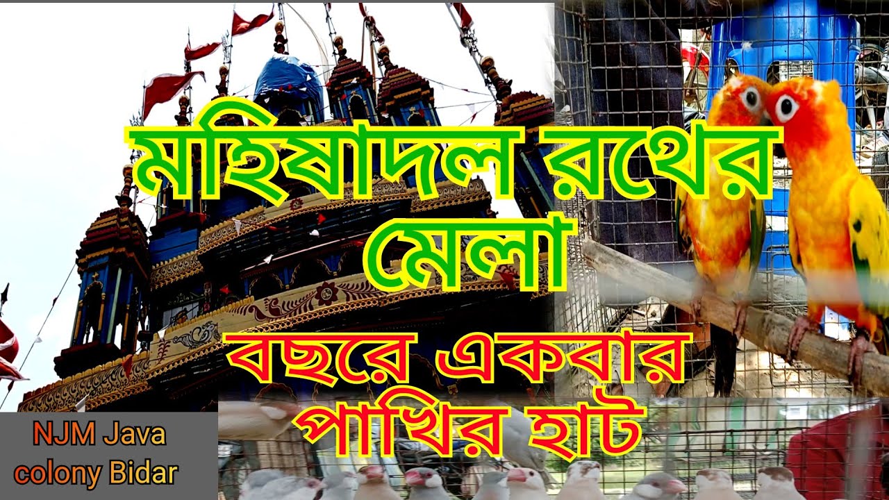 মহিষাদল রথের মেলা &বছরে একবার পাখির হাট.