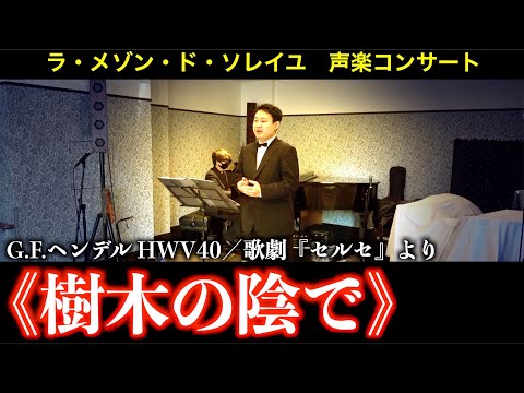 歌劇『セルセ』より《樹木の陰で(Ombra mai fu)》
