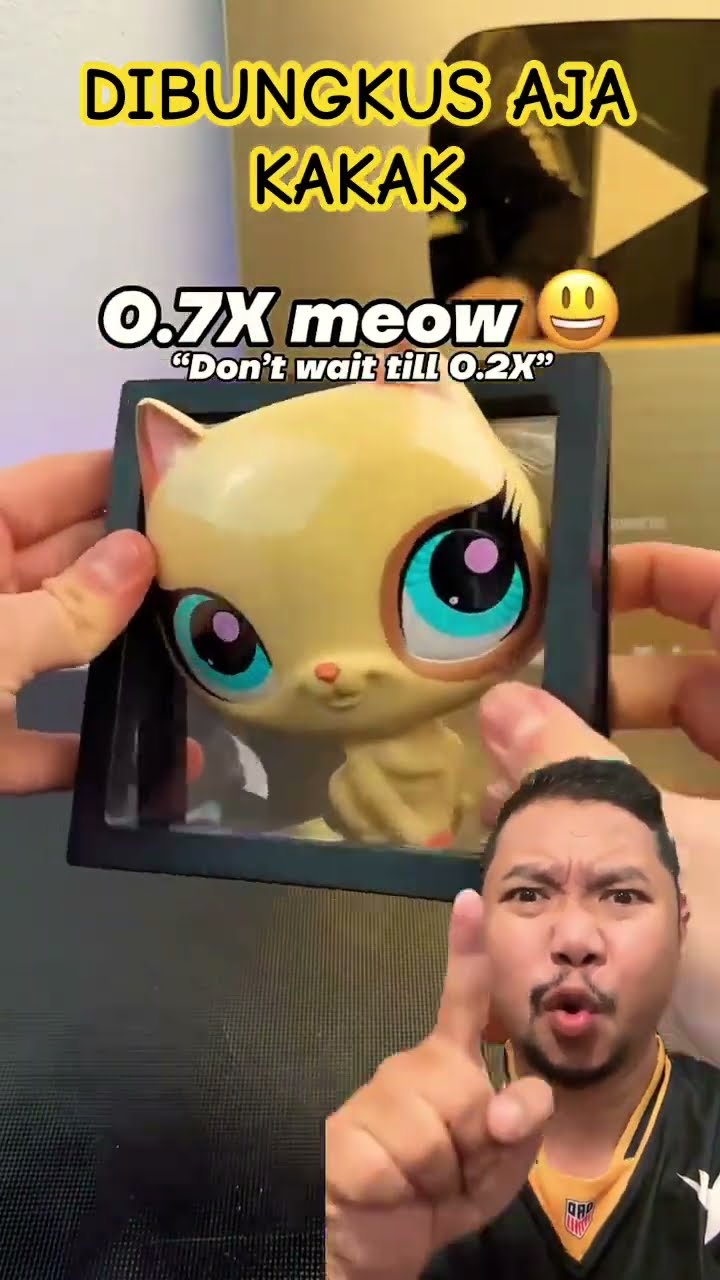 GAK CUKUP KALO DIBINGKAI!!!!? #duet #stitch #cat #shortsfeed #frame