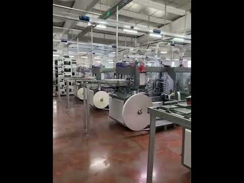 XZT-150w Paper Bowl Machines Work In Turkey