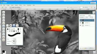 how to do selective desaturation on aviary tutorial screenshot 5
