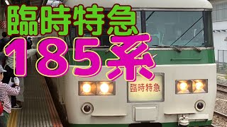 臨時特急　あしかが大藤まつり号　懐かしの185系で運行　大船駅始発　桐生行き