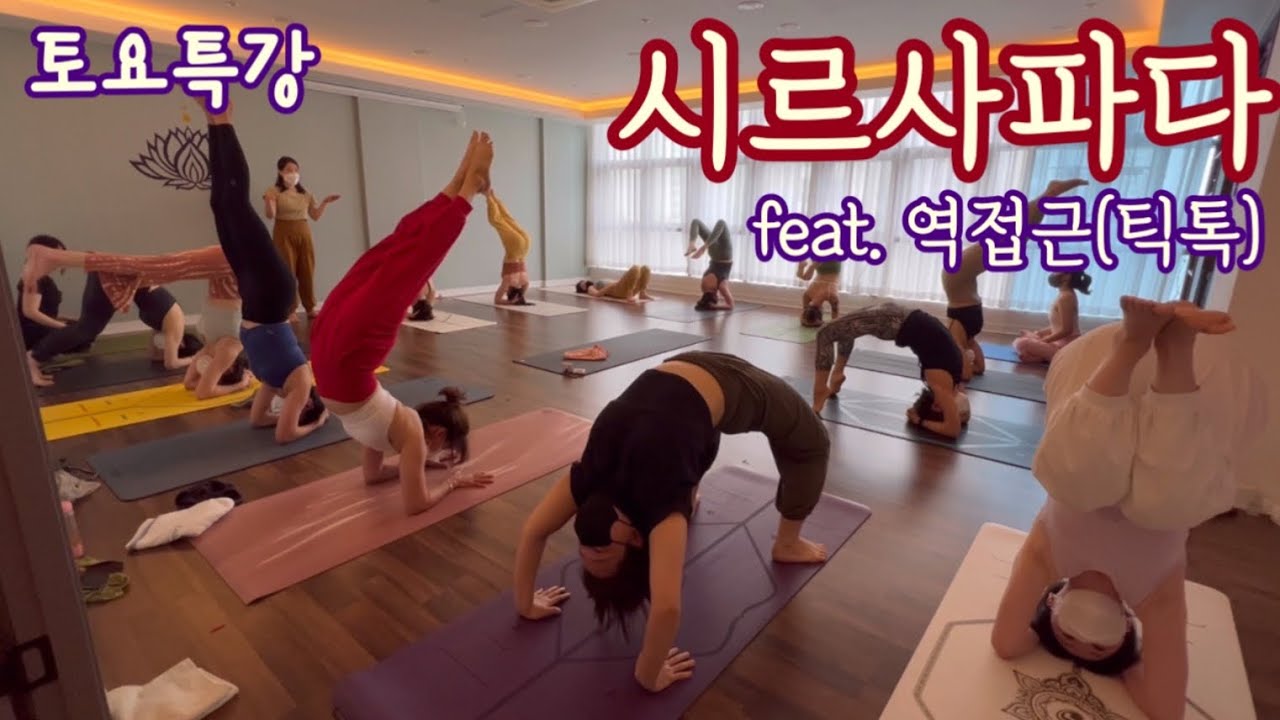 [엔젤요가] 토요특강3탄 | 시르사파다  | feat. 역접근 | 역자세후굴  | 단계별접근 | 하타요가 수련하기