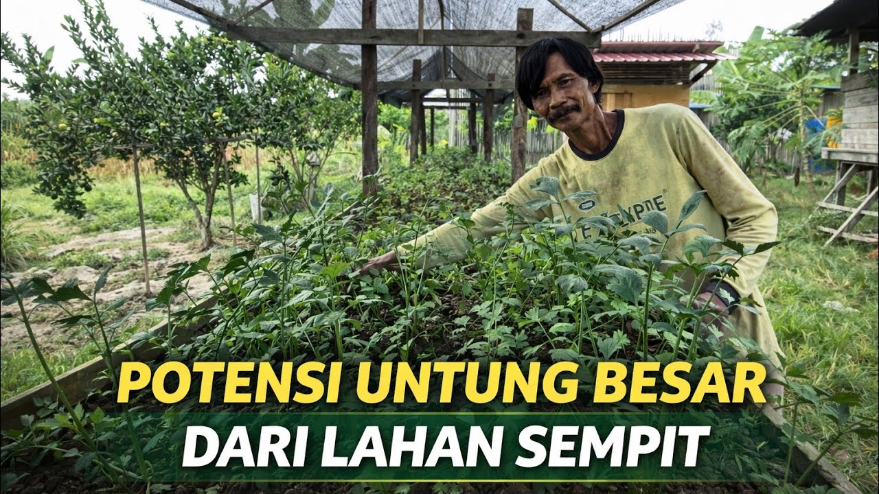 CARA CERDAS PETANI MEMILIH JENIS TANAMAN AGAR EFEKTIF DAN EFISIEN WAKTU, TENAGA & BIAYA