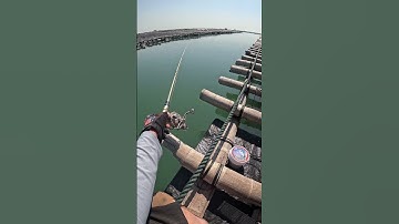 Câu ikada cá trap - hanh câu trên bè hầu#ikada #cauca #câucaikada#câuikada