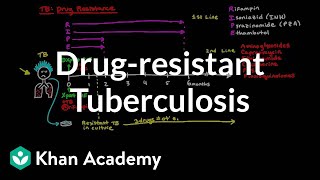 Drug-resistant TB | Infectious diseases | NCLEX-RN | Khan Academy