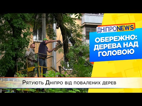 Рятують Дніпро від повалених дерев