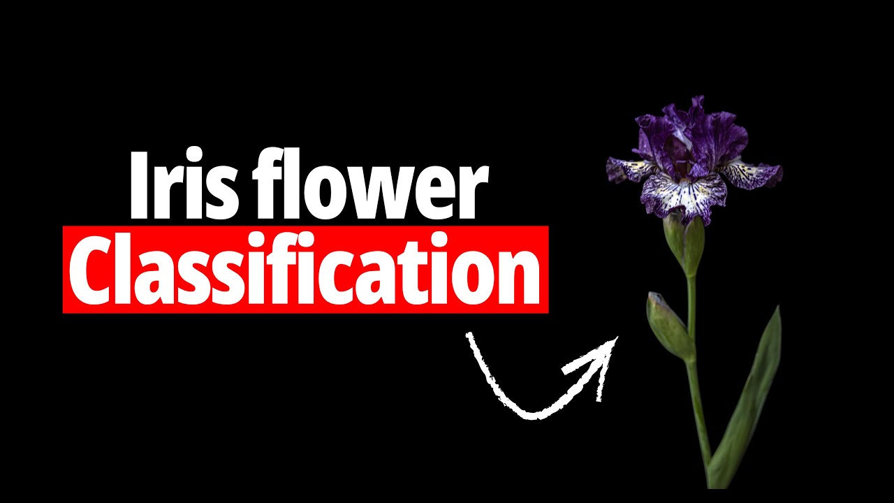Iris Flower Classification Using Machine Learning (Beginner Project ...