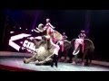Sexy elephant at the circus