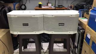 Speaker pasif ashley 10 inch original ashley k2310 900watt