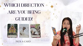 HINDI - 🪷✨Which direction you are being guided by the Universe?✨🪷🌱(Pick a card)🌱