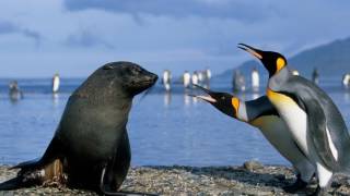 Matt Monro Born Free hd 1080