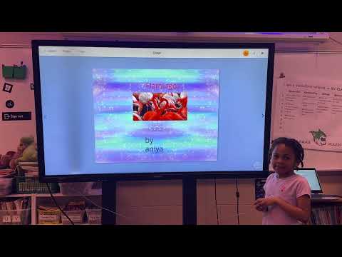 Woodford Academy 1st Grade Animal Research Project 2024