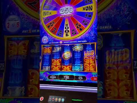 Erlebe Unterwasserabenteuer: Spiel jetzt Oceanspin Casino Online in Deutschland